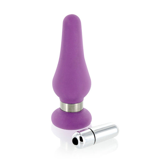 Paarse siliconen buttplug medium formaat met afneembare zilveren bullet vibrator